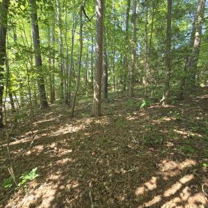 0.35ac - Therrian - Lee Co. - DM (7)