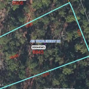 GIS Overhead Image