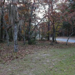 Lot 63