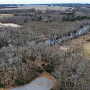 1-web-or-mls-Untitled design