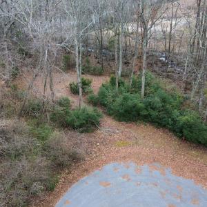 10-web-or-mls-dji_fly_20250111_031124_65