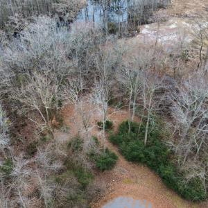 8-web-or-mls-dji_fly_20250111_031102_652