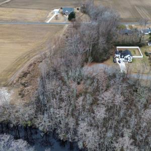 3-web-or-mls-Untitled design