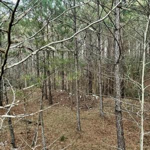 Riverbluff Ln