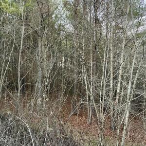 Riverbluff Ln