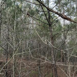 Riverbluff Ln