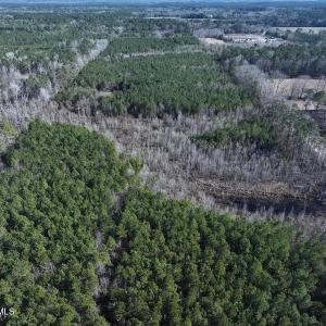 DJI_20250118130739_0438_D