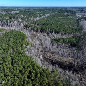 DJI_20250118130808_0439_D