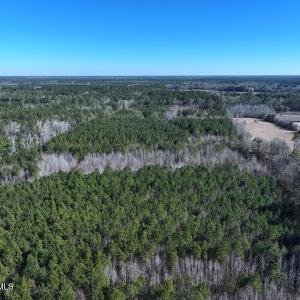 DJI_20250118131003_0442_D