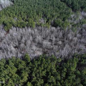 DJI_20250118131030_0443_D