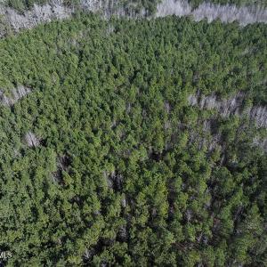 DJI_20250118131059_0444_D