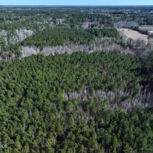 DJI_20250118131113_0445_D