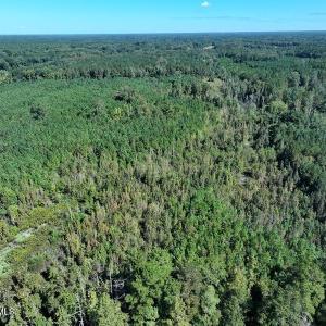DJI_20250903034324_0637_D