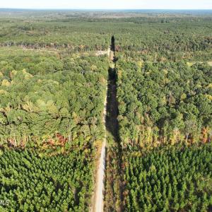 DJI_0613