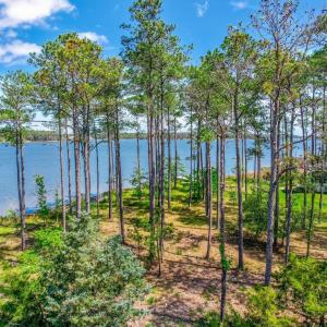 241 Oyster Point (37)