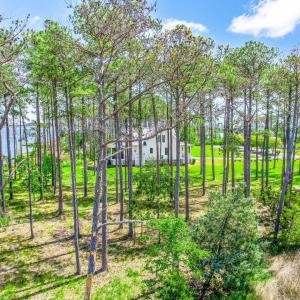 241 Oyster Point (36)