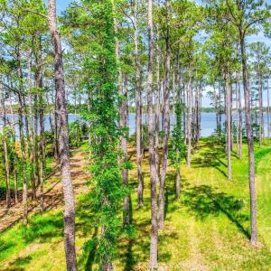 241 Oyster Point (27)