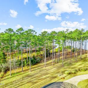 241 Oyster Point (6)