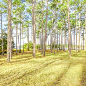 241 Oyster Point (4)