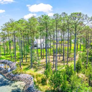 241 Oyster Point (33)