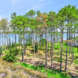 241 Oyster Point (40)