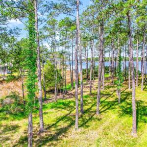 241 Oyster Point (26)