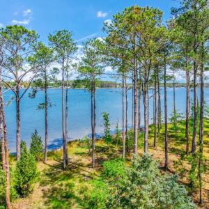 241 Oyster Point (38)