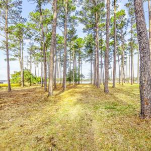 241 Oyster Point (5)