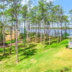 241 Oyster Point (1)