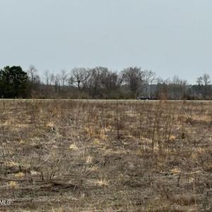 IMG_9490