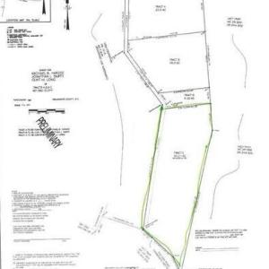 20250128171752996351000000-o edited