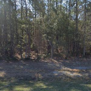 24480 US HWY 17