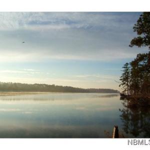 View to Neuse