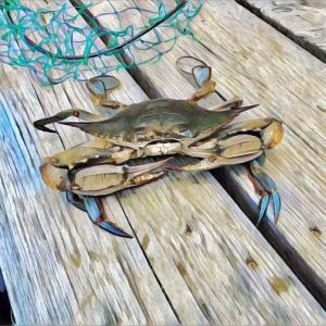 FB_IMG_1509163027453