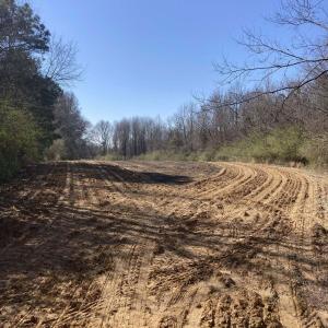 0 Oak Forest, Four Oaks- Pic 3