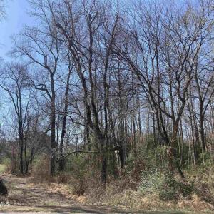 0 Oak Forest, Four Oaks- Pic 1