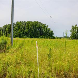 27-027-Duplin County Parcel 09-5323 Past