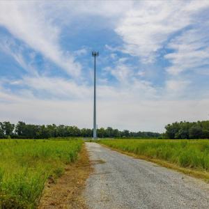33-033-Duplin County Parcel 09-5323 Past