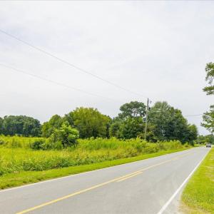 36-036-Duplin County Parcel 09-5323 Past