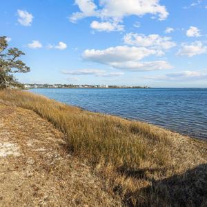 5-web-or-mls-1S3A0881