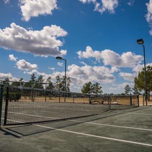 Tennis Anyone