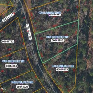 1129 Loblolly lot photo