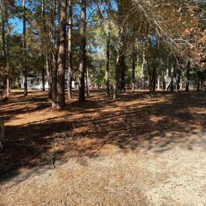 RIVER RUN PLANTATION