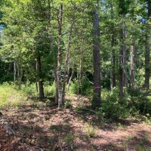 hughesroadlotwooded4