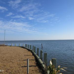157 Dolphin Pic 5