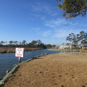 157 Dolphin Pic 4