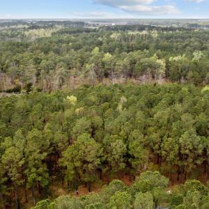 6-web-or-mls-DJI_0495