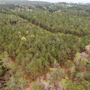 7-web-or-mls-DJI_0496