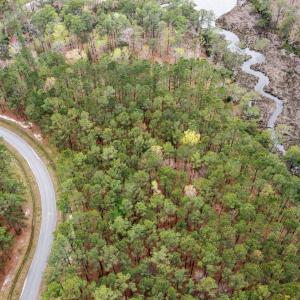 11-web-or-mls-DJI_0500