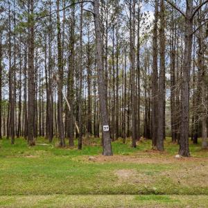 13-web-or-mls-2I3A0025